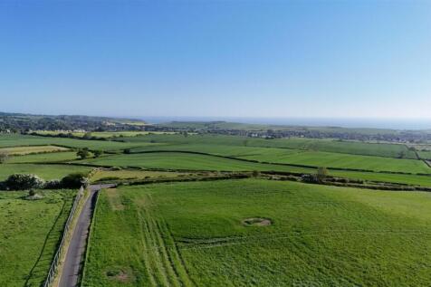 DJI_20250513082231_0292_D.JPG