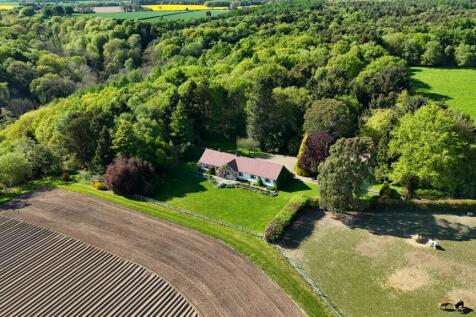 DJI_20250501161555_0010_D.JPG