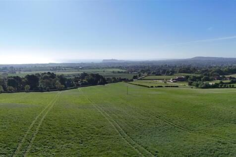 DJI_20250513082306_0295_D.JPG