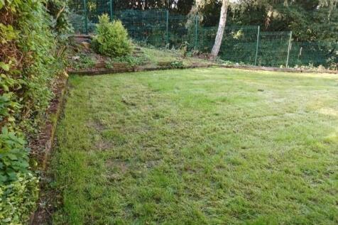 Garden 3.jpg