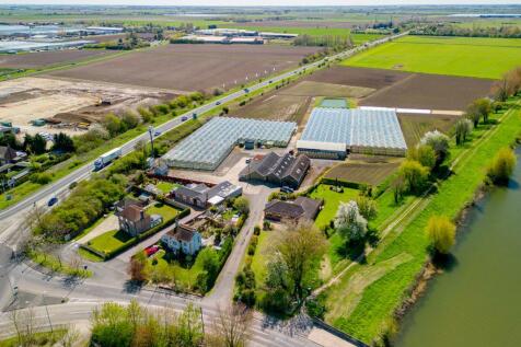 Water Lane Nurseries (Spalding)-1.jpg