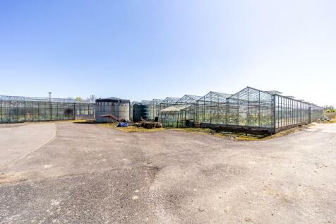 Water Lane Nurseries (Spalding)-14.jpg
