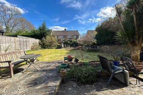 Back garden 2.jpeg