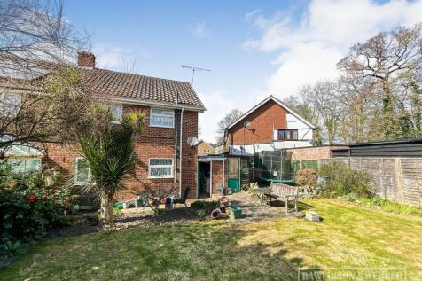 Back garden 3.jpg