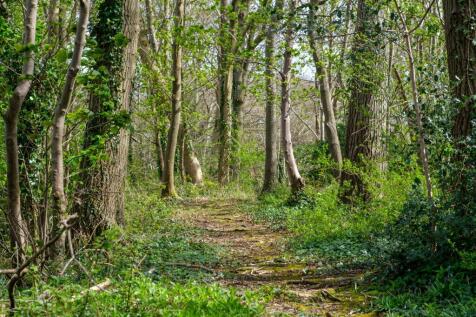 Property Image 25