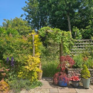 Property Image 34