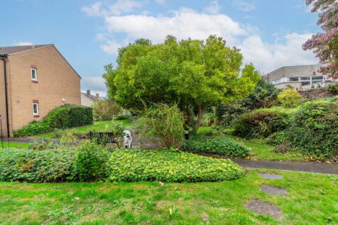 Property Image 13
