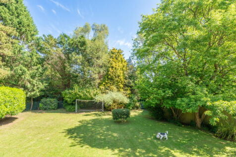 Property Image 26