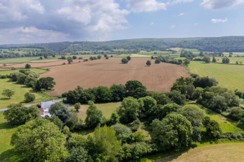 Property Image 39
