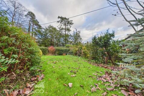 CAM01953G0-PR0136...