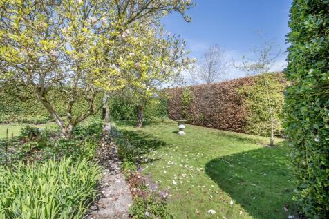 DSC_3937 copy_outdoor.jpg