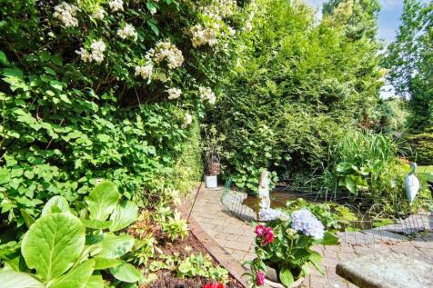 Property Image 45