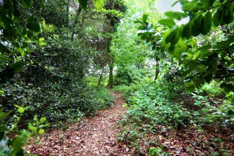 Property Image 35