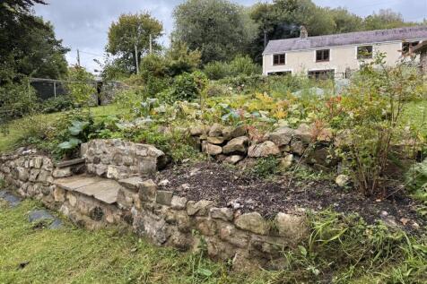 Vegetable Garden