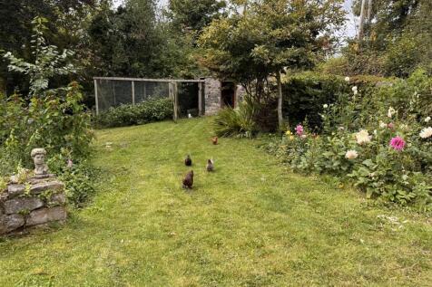 Chicken Run