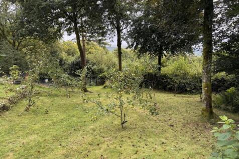 Orchard
