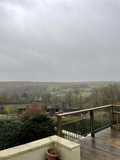 IMG_4866 09.20.31.jpeg