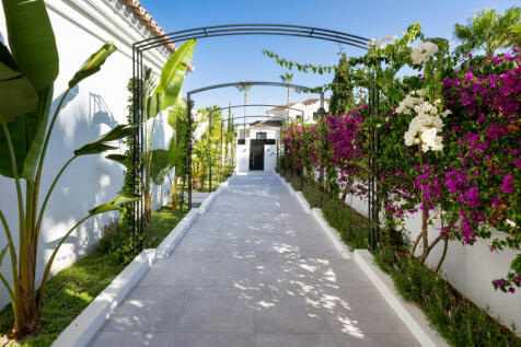 Property Image 39