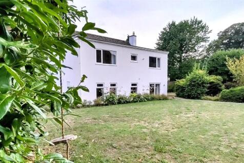 House Back 1.jpg
