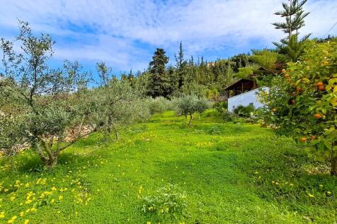 Property Image 21