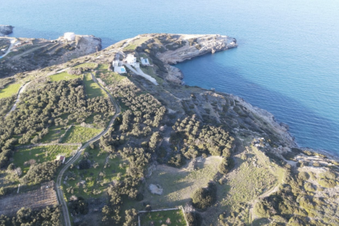 Property Image 6