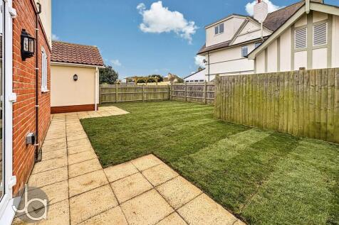Garden shot (4)