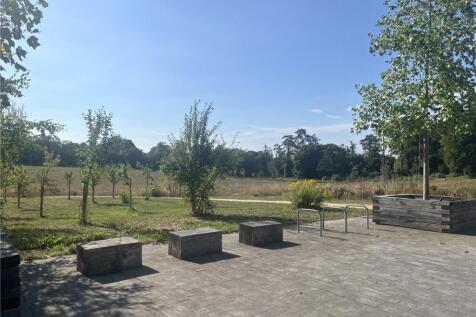 Surrounding Area