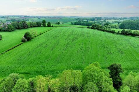 Surrounding Field.jpeg