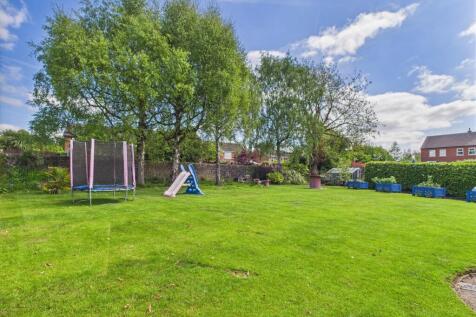 Large Sunny Garden