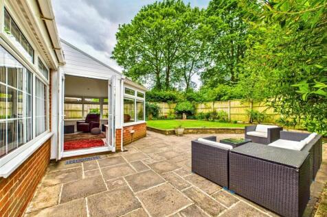 Amazing South Facing Rear Garden