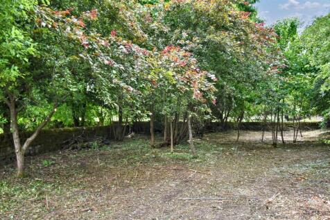 Separate Orchard/Garden