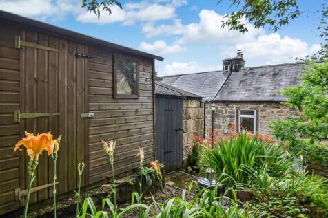 Timber Shed