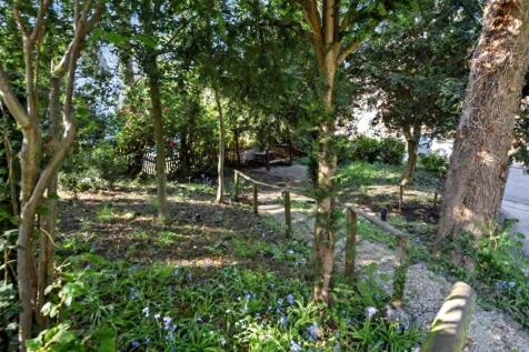 Beautiful Walkway.jpeg