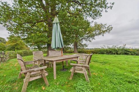 Garden Area Three (Meadow)