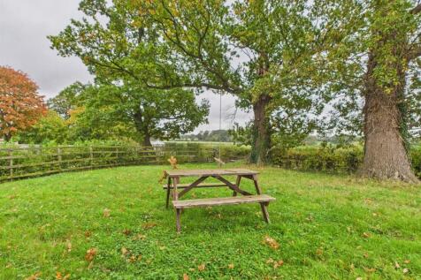 Garden Area Three (Meadow)
