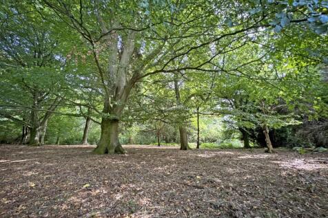 Woodland