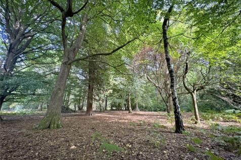 Woodland