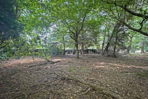 Woodland