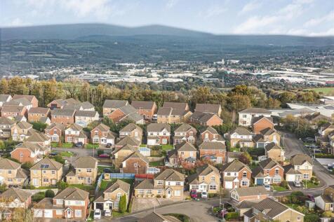 Aerial Images