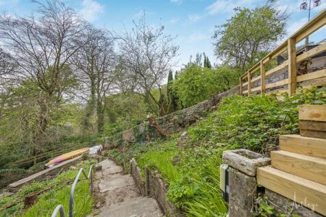 Another Aspect Of The Front Garden