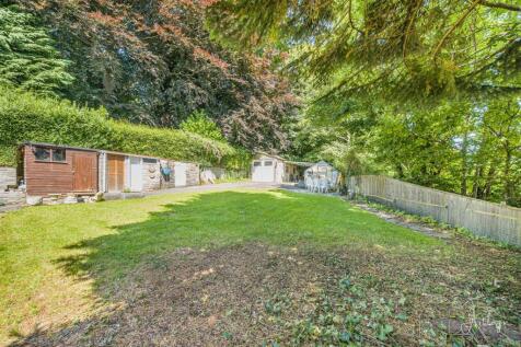 Another Aspect Of The Rear Garden