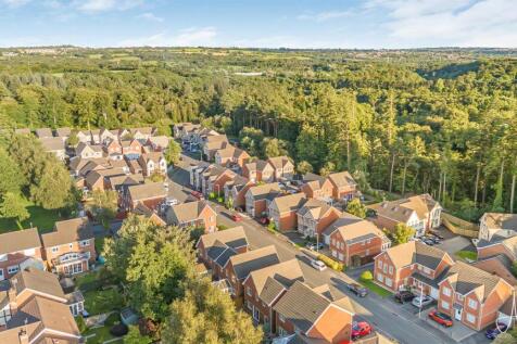 Aerial Images