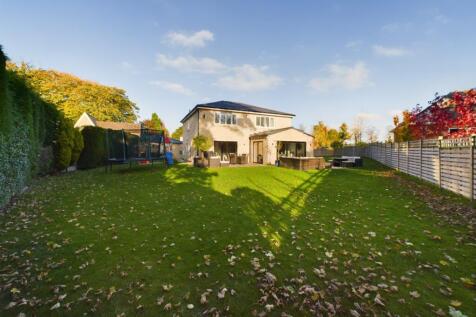 Back Garden 