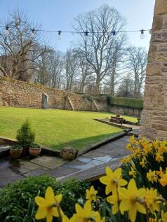 Low farm  (5)