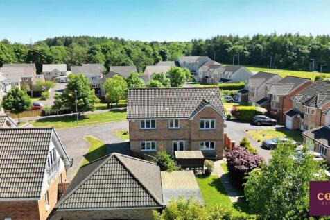 DJI_0475.jpg