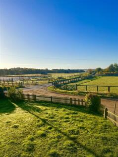 Vendor picture - paddock view