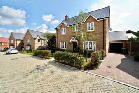 Front and driveway