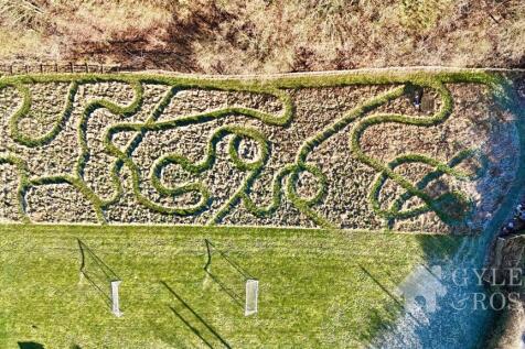 Field/Garden