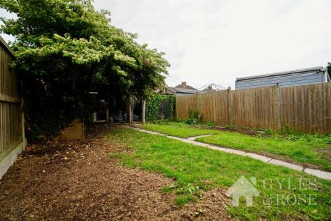 Back garden