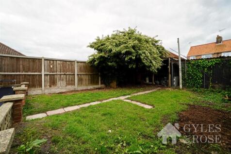 Back garden